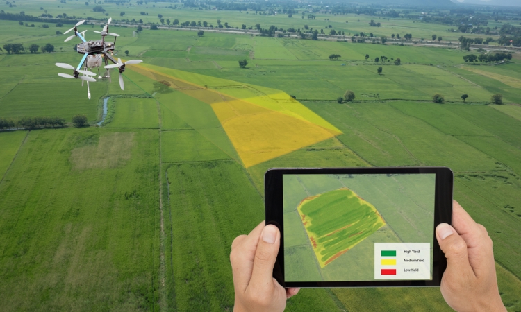 Fruit picking drones by Tevel Aerobotics Technologies