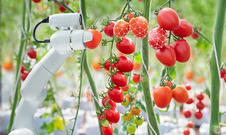 Top 14 agricultural robots for harvesting and nursery